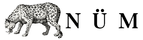 NÜM Studio